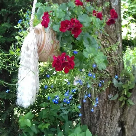 Apartmanhaz Apartman Zalakaros