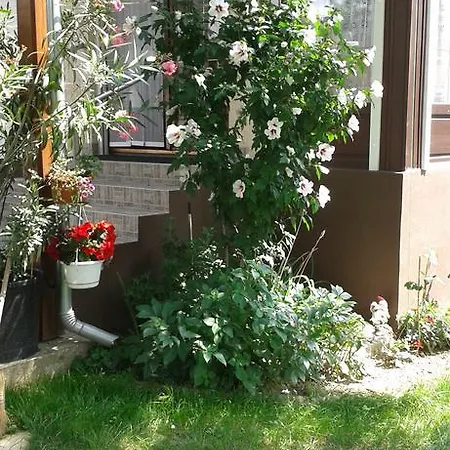 Apartman Apartmanhaz Zalakaros