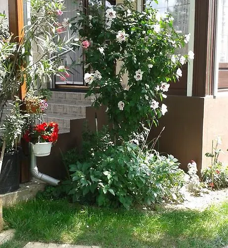 شقة Apartmanhaz زلاكاروس